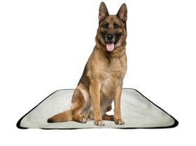 Tapete pet reutilizável adestrador dog oferta 4 un G 90x100cm