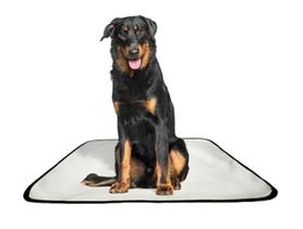 Tapete Pet Reutilizável Adestrador Dog Oferta 4Un G1 100X120