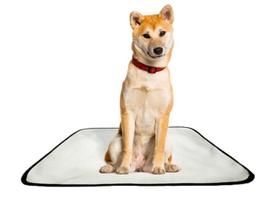 Tapete pet reutilizável adestrador dog oferta 5 un M 60x80cm