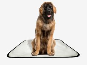 Tapete pet reutilizável adestramento oferta 1 un G 90x100cm