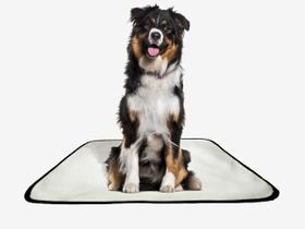 Tapete pet reutilizável adestramento oferta 2 un G1 100x120