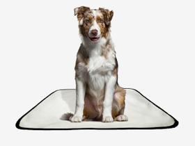 Tapete pet reutilizável adestramento oferta 5 un M 60x80 Cm