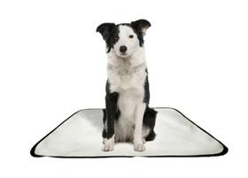 Tapete pet reutilizável educador dog oferta 2 un M1 70x100cm