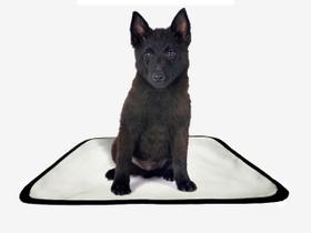 Tapete pet reutilizável educador dog oferta 4 un M 60x80cm - SHELBY MODA PET