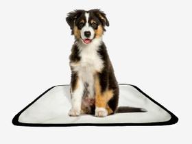 Tapete pet reutilizável educador dog oferta 7 un P 50x60cm - SHELBY MODA PET