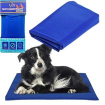 Tapete Pet Tapete Gelado Grande Pet Cama Cahorro Gato 65x50 Refrescante