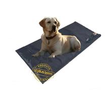 Tapete Pet Térmico Elétrico 1.00x0.45cm Almofada Cães Gatos Répteis