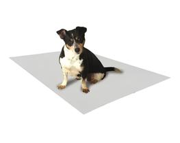 Tapete pipidog limpo p/necessidade/xixi pacote 50x60cm 100un