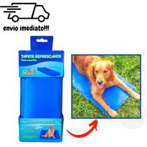 Tapete Refrescante Gelado Para Cachorro E Gato Grande 50x90 Tapete Refrescante Gelado Para Cachorro E Gato Grande 50x90