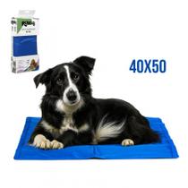 Tapete Refrescante Gelado Para Cachorro Gato Cão 40x50cm Pet