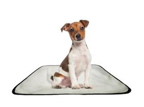 Tapete reutilizável adestrador dog oferta 1 un PP 40x50cm