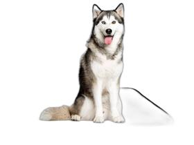 Tapete Reutilizável Adestramento Higiênico 4Un G - 90X100