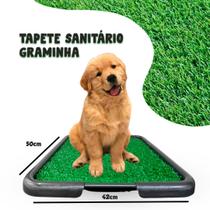 Tapete Sanitário com Graminha Xixi Pet Tapete Sanitário com Graminha Xixi Pet