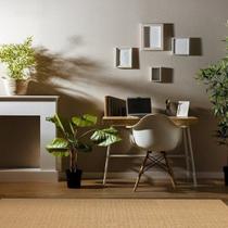 Tapete Sisal Liso 250x350cm Casual Apaeb