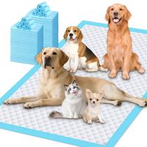 Tapetes Descartáveis para Cães Gimars 91x130cm XL 30 Unidades Tapetes Descartáveis para Cães Gimars 91x130cm XL 30 Unidades