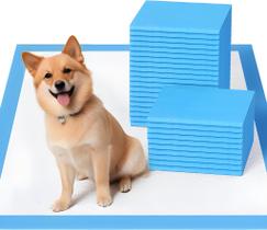 Tapetes Higiênicos Aurora Pet 46x61 cm 100 unidades Azul/Branco Tapetes Higiênicos Aurora Pet 46x61 cm 100 unidades Azul/Branco