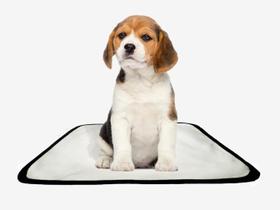 Tapetes Higiênicos Reutilizáveis E Laváveis 4Un Pp 40X50 Cm