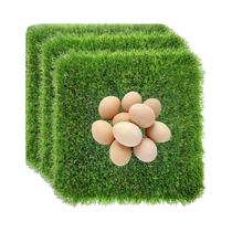Tapetes Para Caixas De Ninho De Galinhas, Tapete De Grama Artificial, 3pcs/6pcs, Acessórios Para