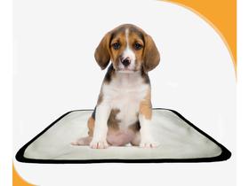 Tapetes Reutilizáveis Para Xixi E Uso De Cães 5Un P 50X60 Cm