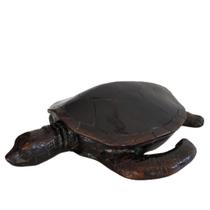 Tartaruga 60cm Diâmetro Resina