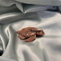 Tartaruga miniatura rosa