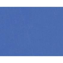 Tatame 50X50CM AZUL 10MM. - Dubflex