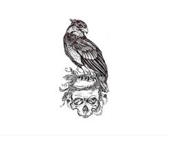 Tatuagem Temporária Dark Delicada Com 10 Cm Águia Tatuagem Temporária Dark Delicada Com 10 Cm Águia