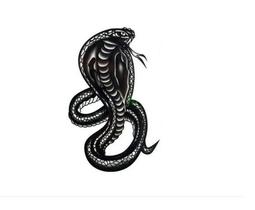 Tatuagem Temporária Delicada Cartela Serpente Cobra