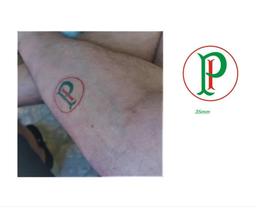 Tatuagem Temporária Símbolos Time Sociedade Palmeiras 35mm Tatuagem Temporária Símbolos Time Sociedade Palmeiras 35mm