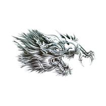 Tatuagem Temporária Unissex À Prova d'Água Com Desenho De Dragão, Flor E Buda, Estilo Punk, Para