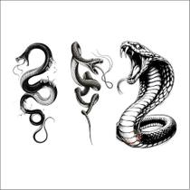 Tatuagens Temporaria Serpnetes e Cobras 2