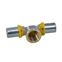 Te Fêmea Terminal 16 mm x 1/2" NPT - Resistente à Corrosão