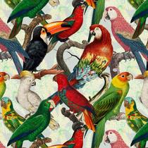 Tecido Estampado Coleção Tropical Tucanos e Papagaios