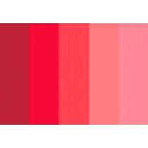 Tecido Estampado Para Patchwork - Basics For All - Faixas De Textura Bordo (0,50x1,40)