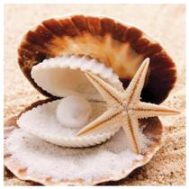 Tecido Quadrado Digital 49 x 49cm - Concha e Pérola