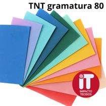 Tecido TNT 80g/m² 1,40m Largura 5 metros Artesanato e Decoração