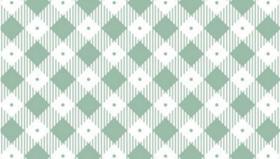 Tecido Tricoline Xadrez Diagonal Colorê Verde Seco 50 x 150 cm