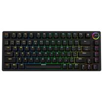 Teclado Mecanico 75% Pcyes Rasec - Gasket Mount - Gateron Blue - Led Rgb - Twgblrgb