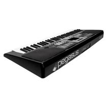 Teclado pegasus p222 bk 61 teclas