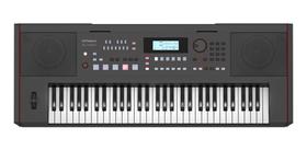 Teclado Roland Arranjador E-x50 Portátil Sons De Piano