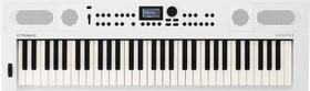 Teclado Roland Gokeys5-Wh 61 Teclas