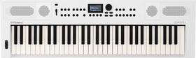 Teclado Roland Gokeys5-WH 61 Teclas