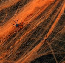 Teia De Aranha Halloween Fake Decoração Dia Das Bruxas Teia De Aranha Halloween Fake Decoração Dia Das Bruxas