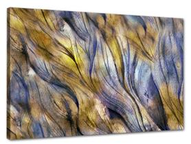 Tela Canvas Abstrato Arte 120x80 Horizontal 116