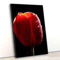 Tela Canvas Floral Tulipa 55x80 Vertical 3