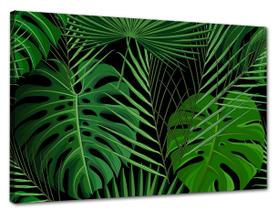 Tela Canvas Folhagem Folhas Tropicais 120x80 Horizontal 125