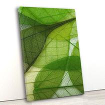 Tela canvas vert 60x40 folhas verdes transparentes