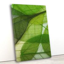 Tela canvas vert 70x45 folhas verdes transparentes