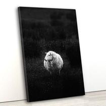 Tela canvas vert 70x45 ovelha em preto e branco