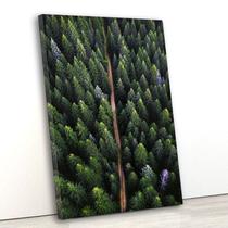 Tela canvas vert 80x55 estrada de terra na floresta - Crie Life
